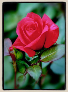 Just For You